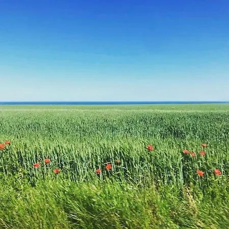 Maison De Famille A 5 Min De La Mer Classee 4 Veulettes-sur-Mer